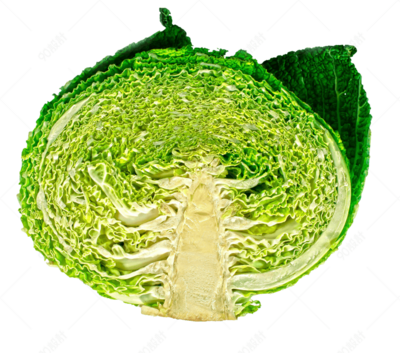 切開(kāi)橫切面蔬菜植物包菜